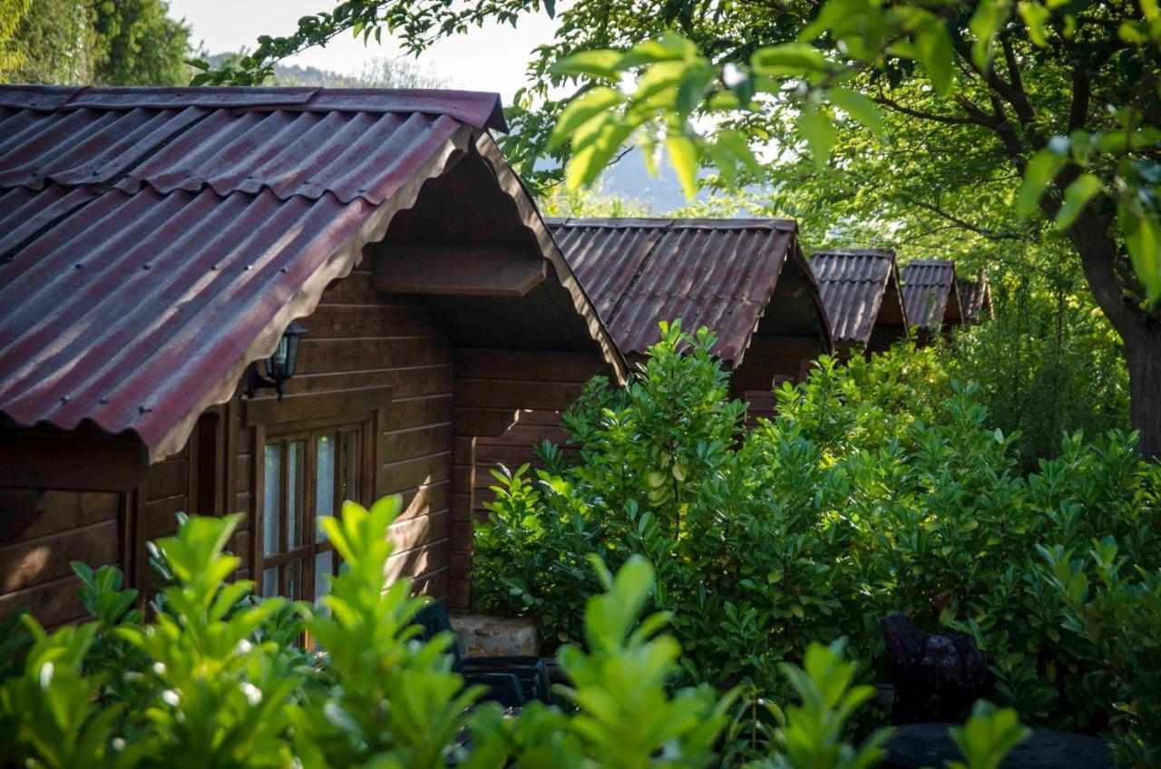 Fuente Del Lobo Glamping & Bungalows - Adults Only Pinos Genil Exteriér fotografie