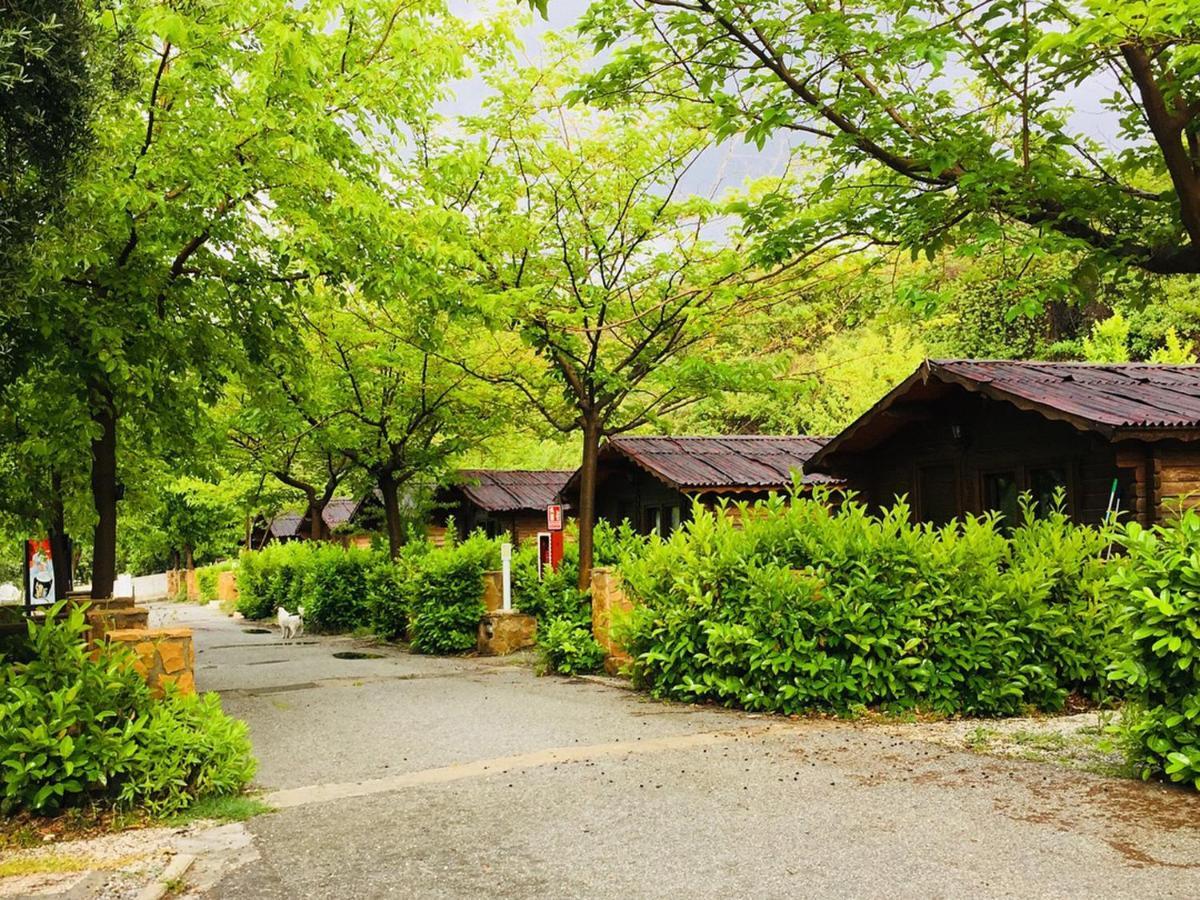 Fuente Del Lobo Glamping & Bungalows - Adults Only Pinos Genil Exteriér fotografie