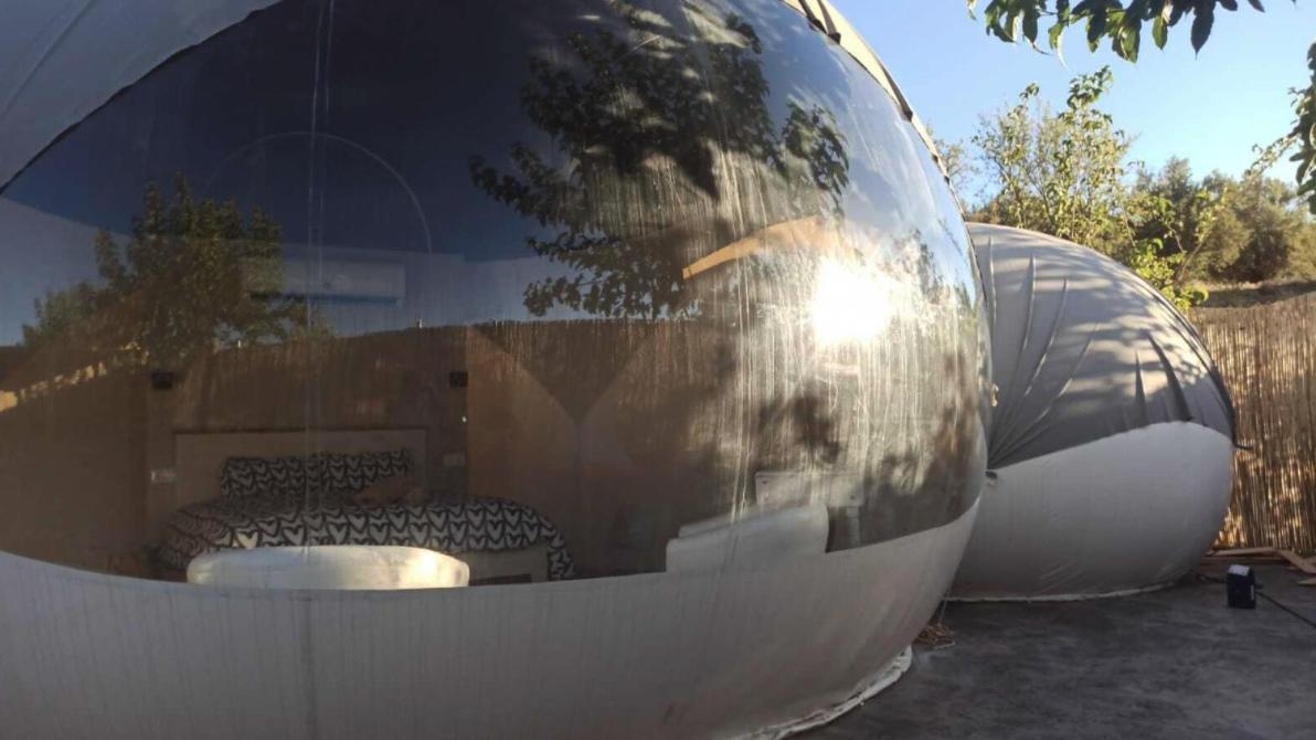Fuente Del Lobo Glamping & Bungalows - Adults Only Pinos Genil Exteriér fotografie